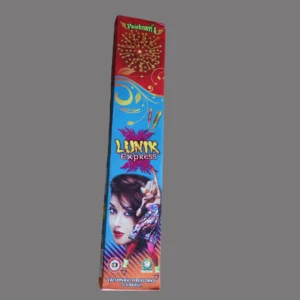 lunik-express-front-view